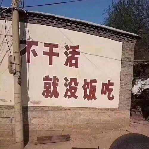 姐单身一个人