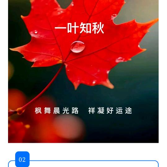 ——叶知秋