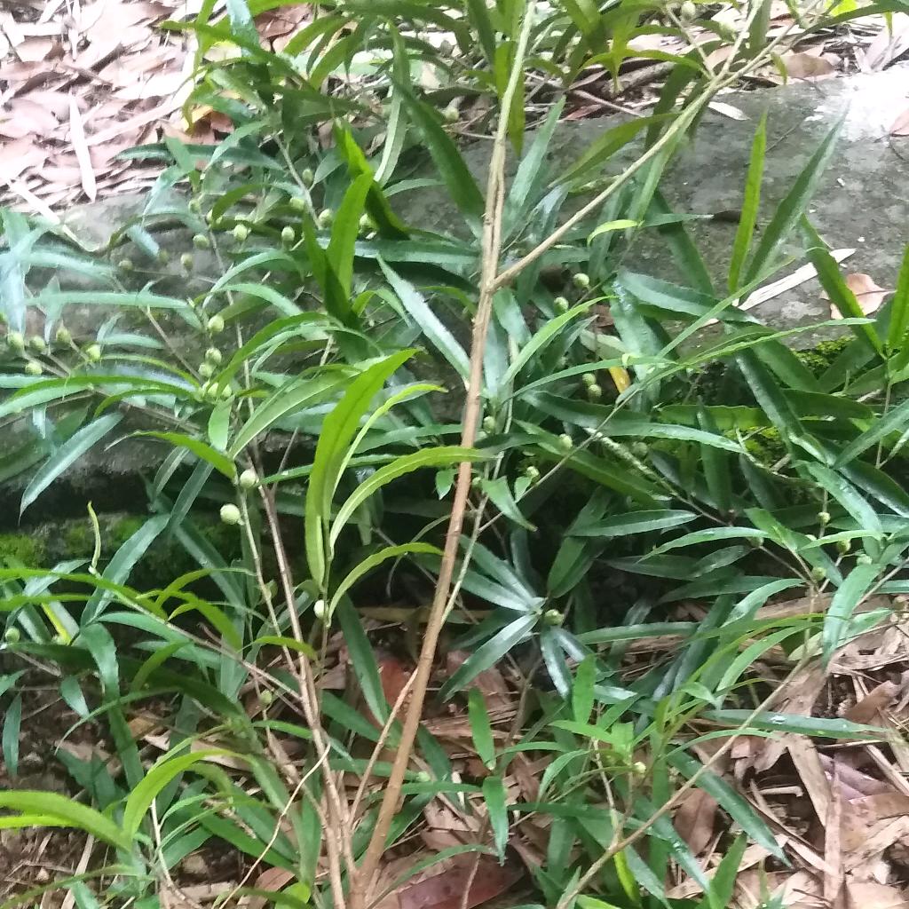 一起走过的日子