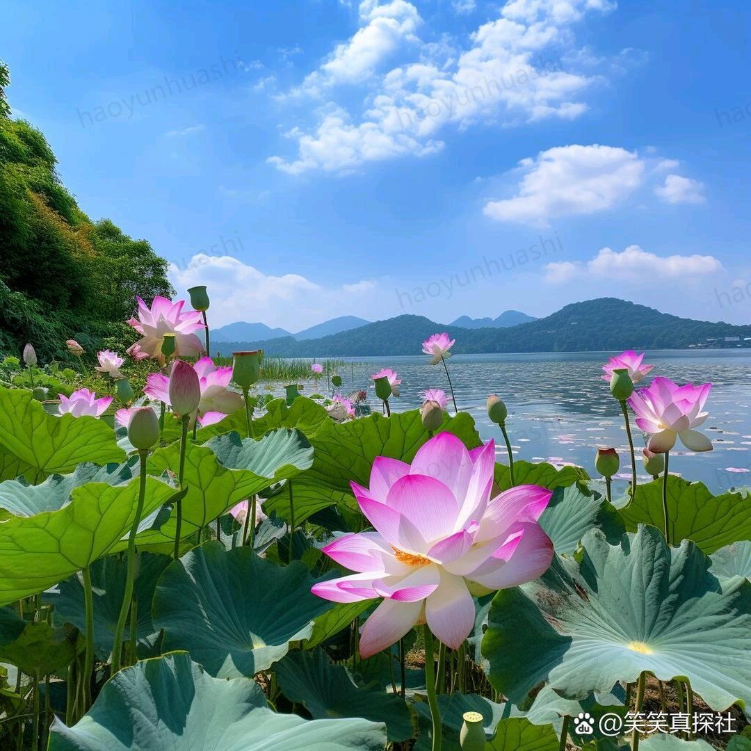 好运相伴
