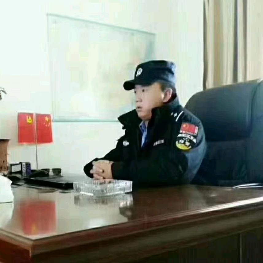 龙腾虎跃震山河