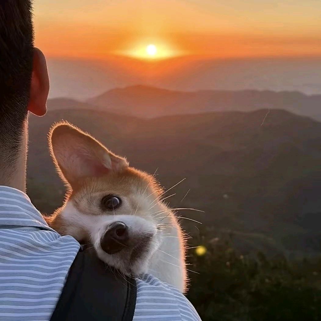 小太阳☀️