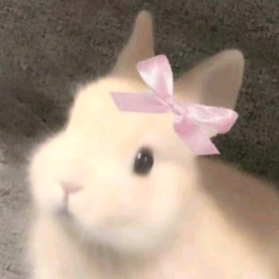 秋秋🐾