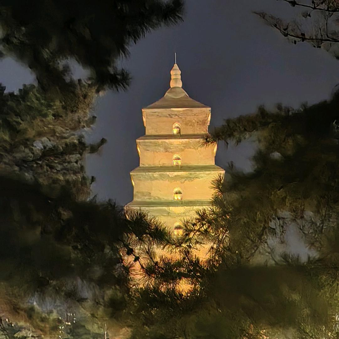 博索艺术