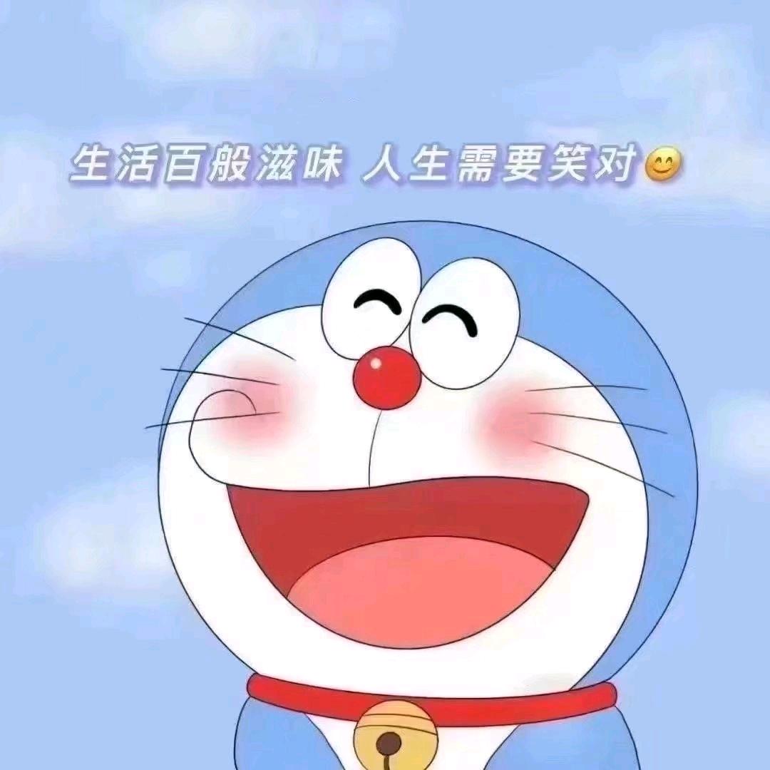 一只蓝胖纸