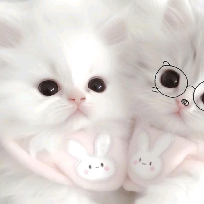 ‧₊𝓨𝓾鱼干.🍥