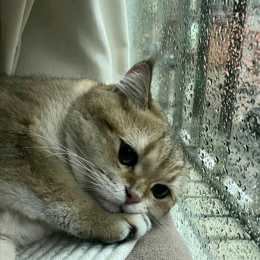 道