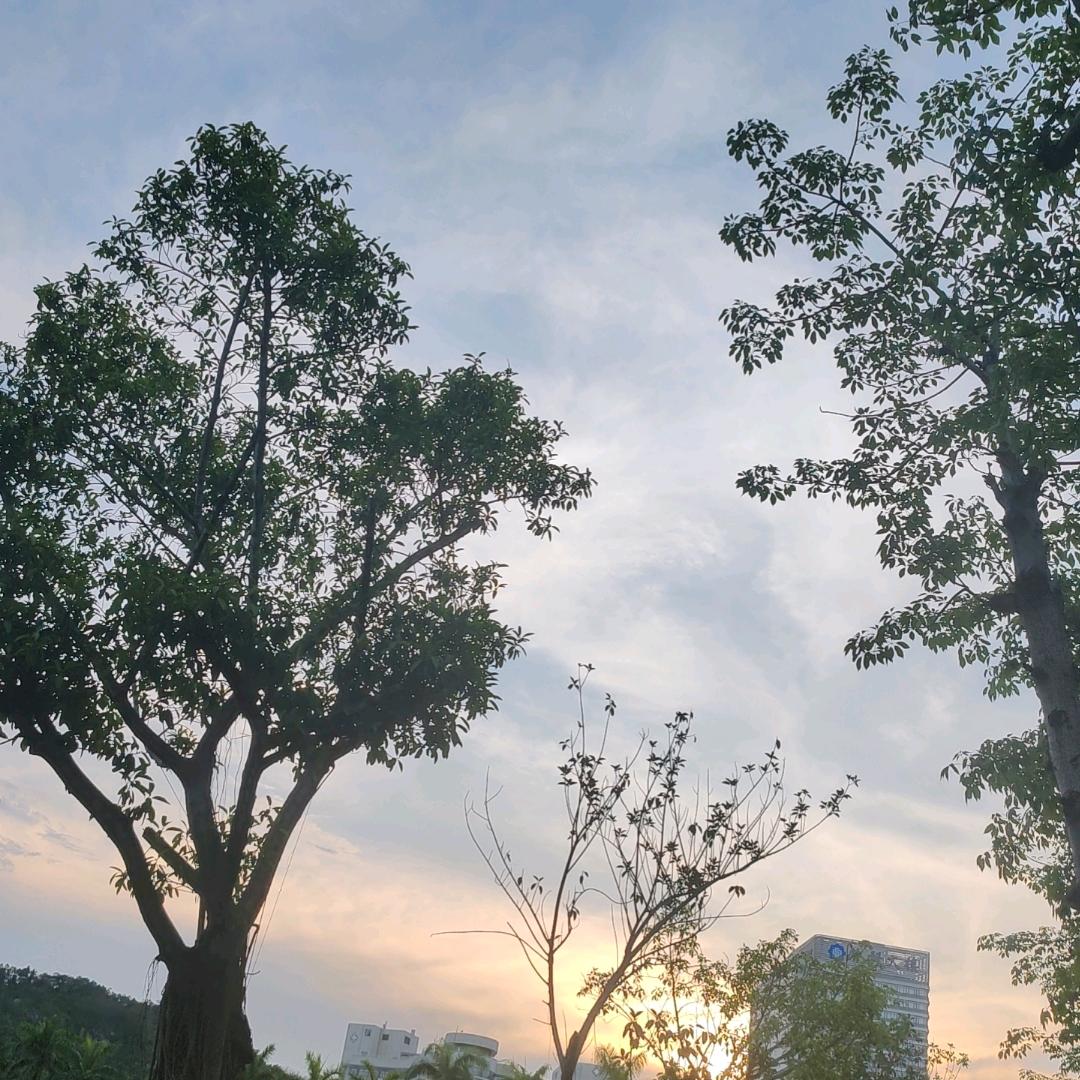 大墨晴空