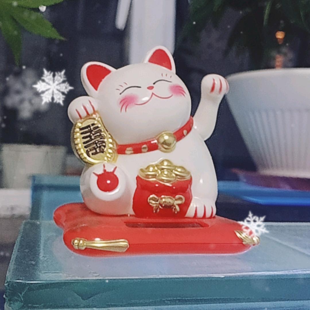 天天