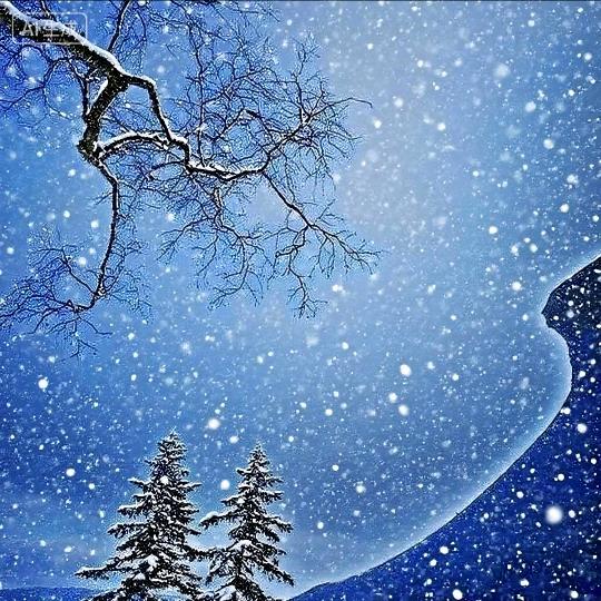 🍀儒风忘世🍀❄