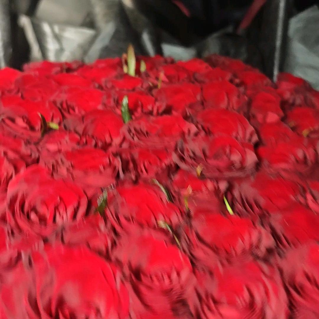 空白