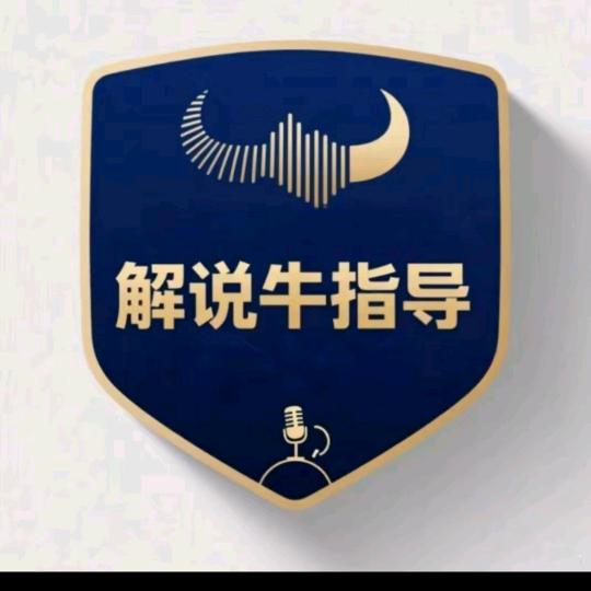 牛指导-海口（秀英启鑫桂）信息咨询