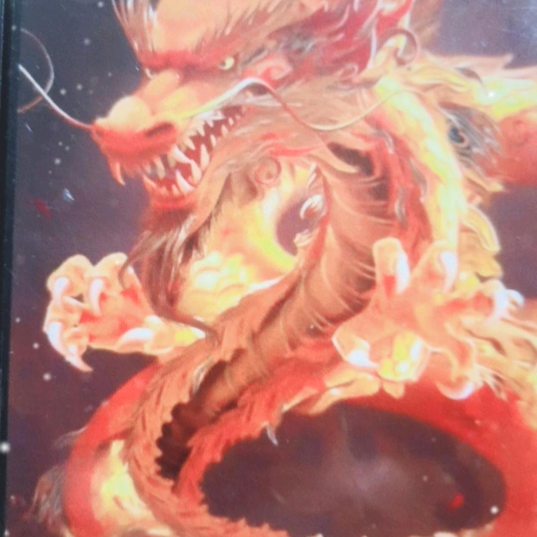 云龙