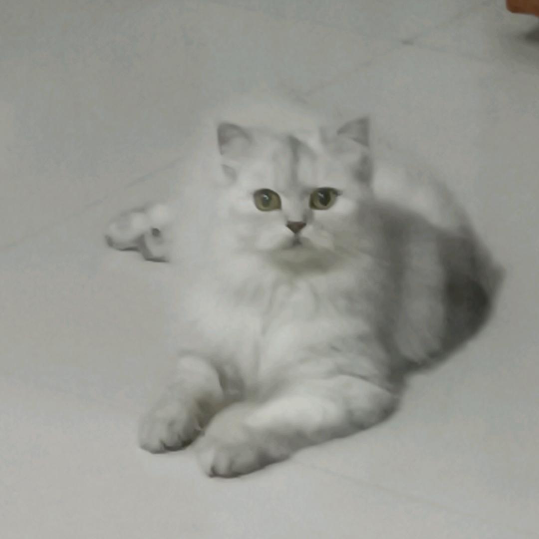 用户艳姐