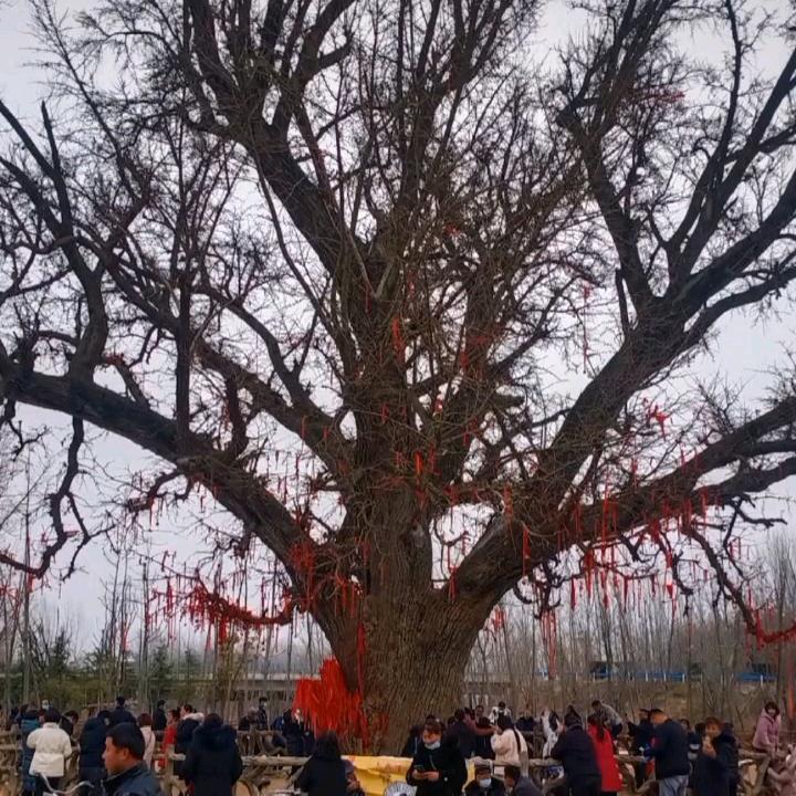 90后的工地小哥长年招收铝膜工！