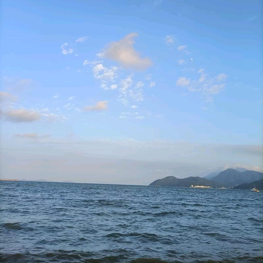 红枫🌸