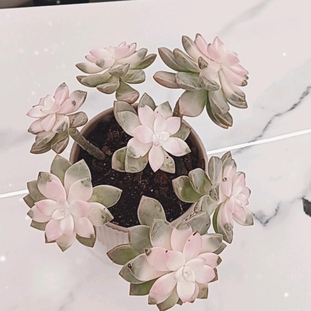 @谁懂我心