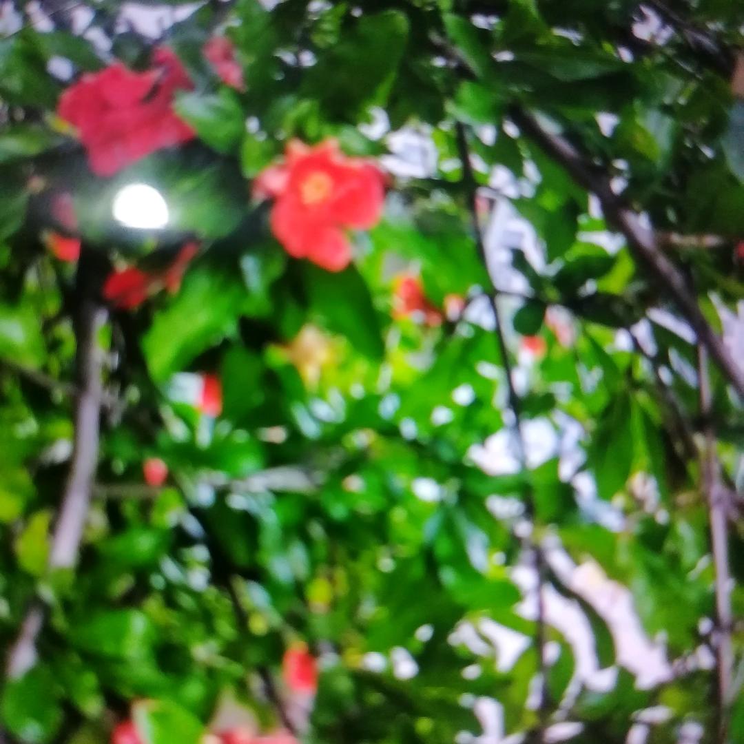 沉默