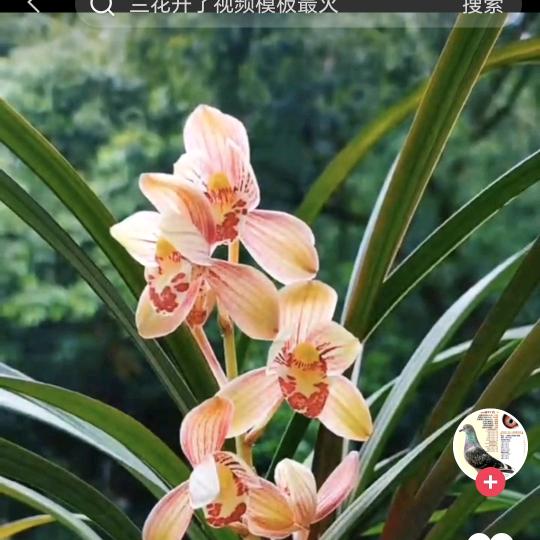 ☀暖心❤️