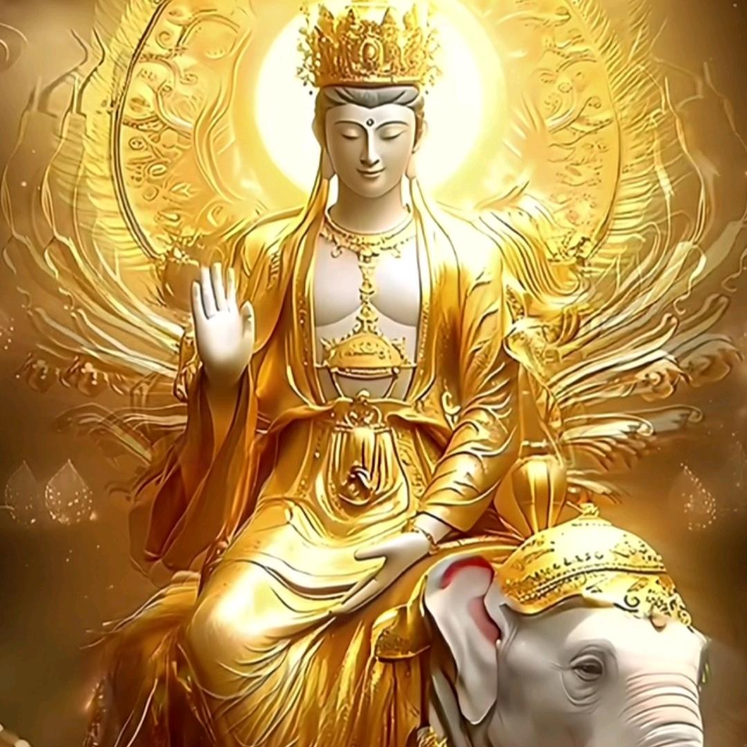 花好月圆
