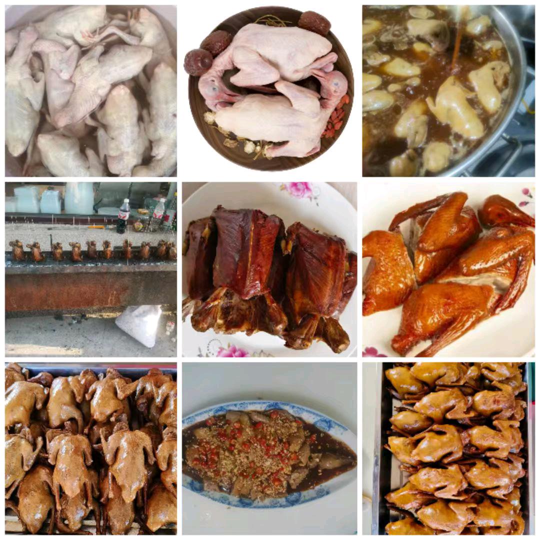 乐陵~美味鸽子🕊️