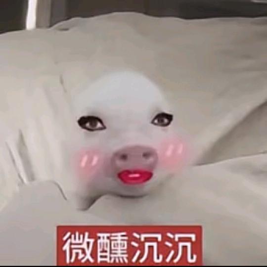 纯情忧郁霸总爱上性感大蟑螂