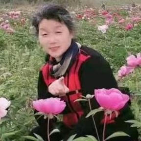 秦姐（每天下午7点10开播）