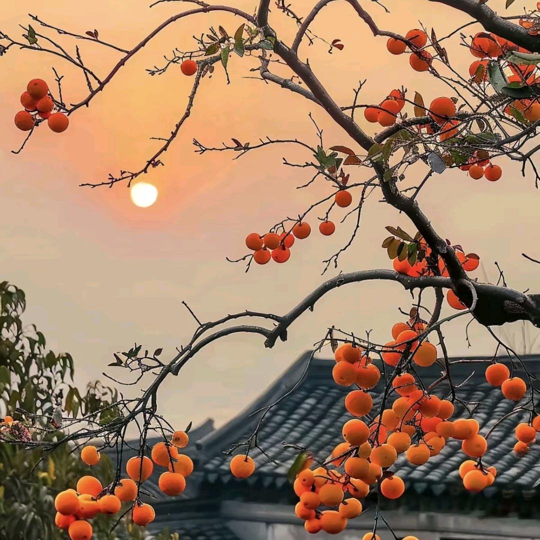 港風小姐姐