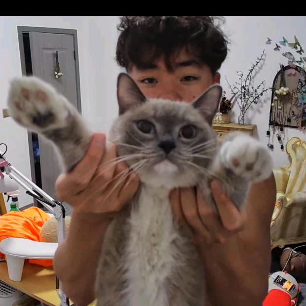 【改名了】