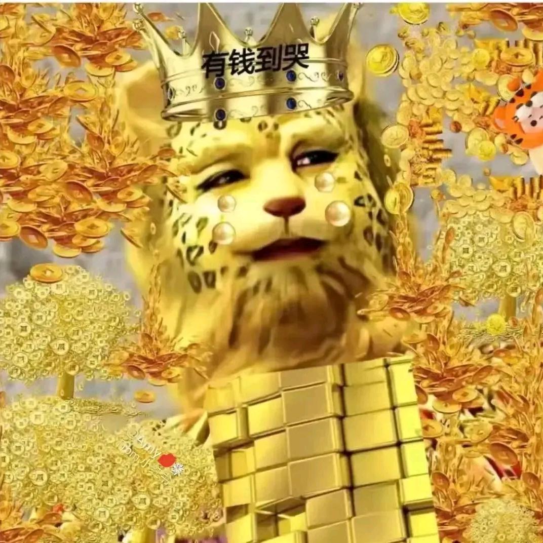 车抵钱多多