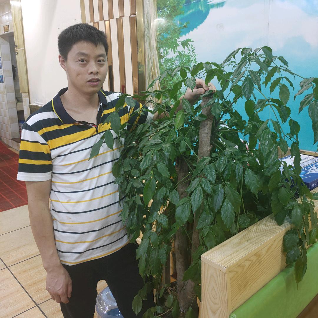 黄事牛牛