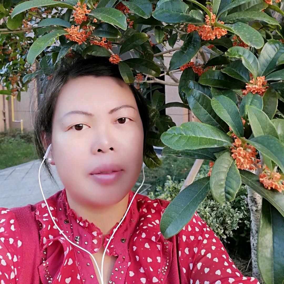 贺姐百货