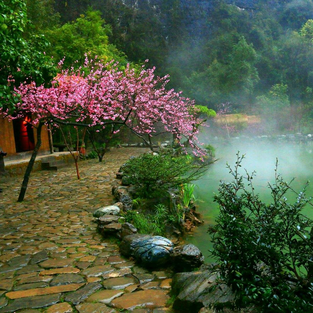 桃花源故事会（收徒）