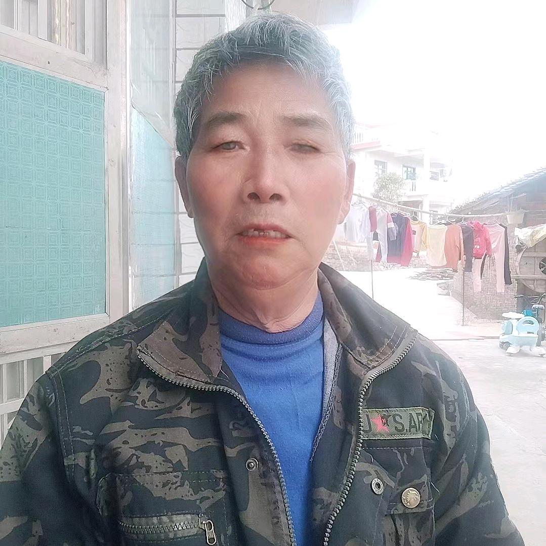 陈柏砖
