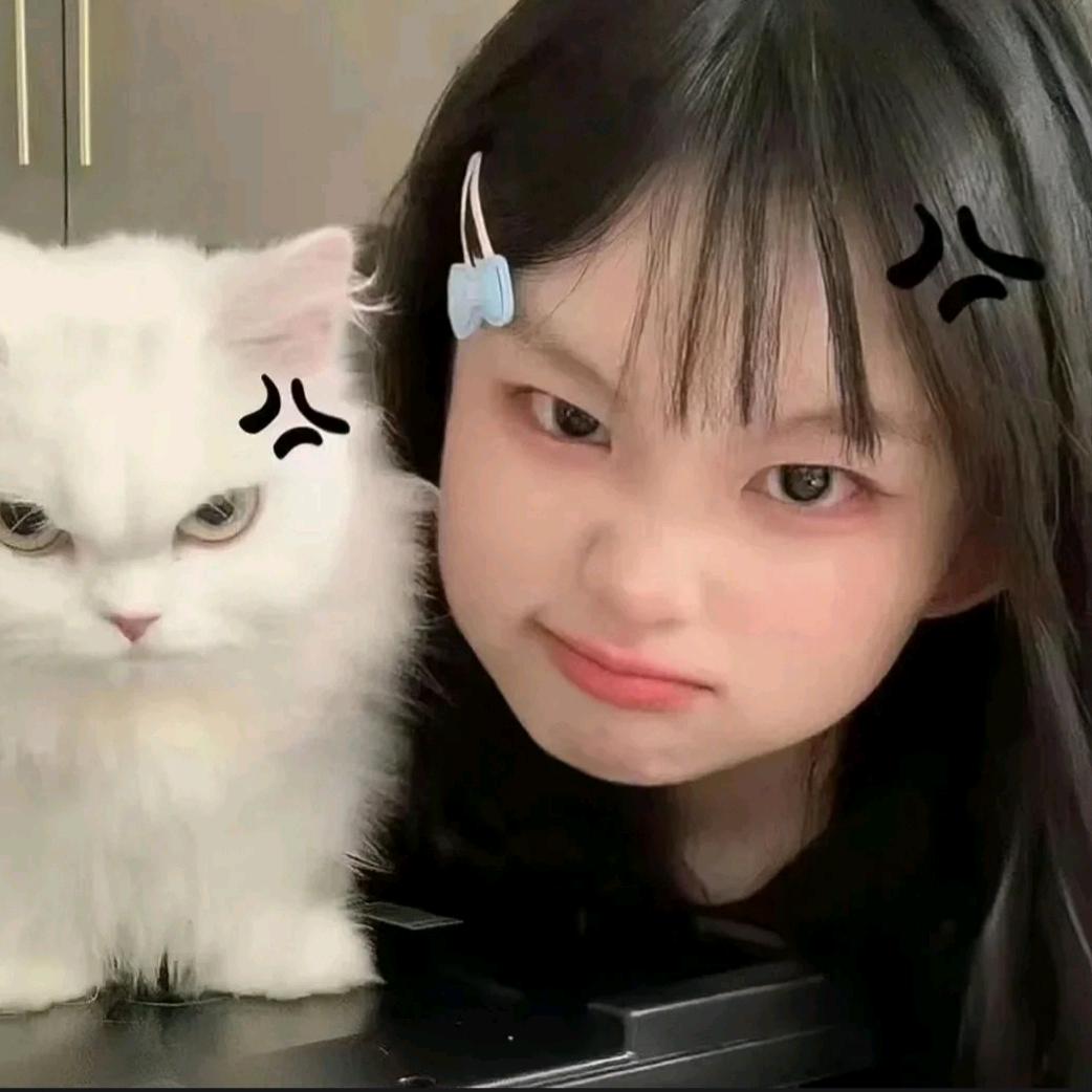哈密 瓜