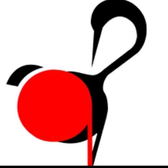 一鹤短视频