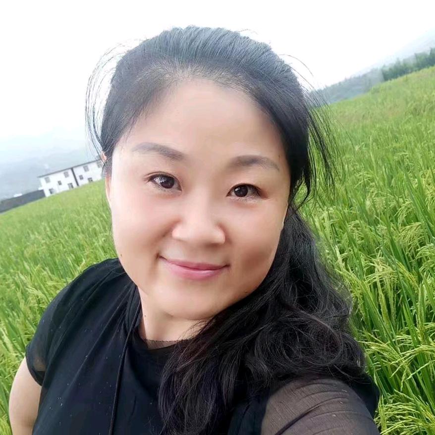 译立
