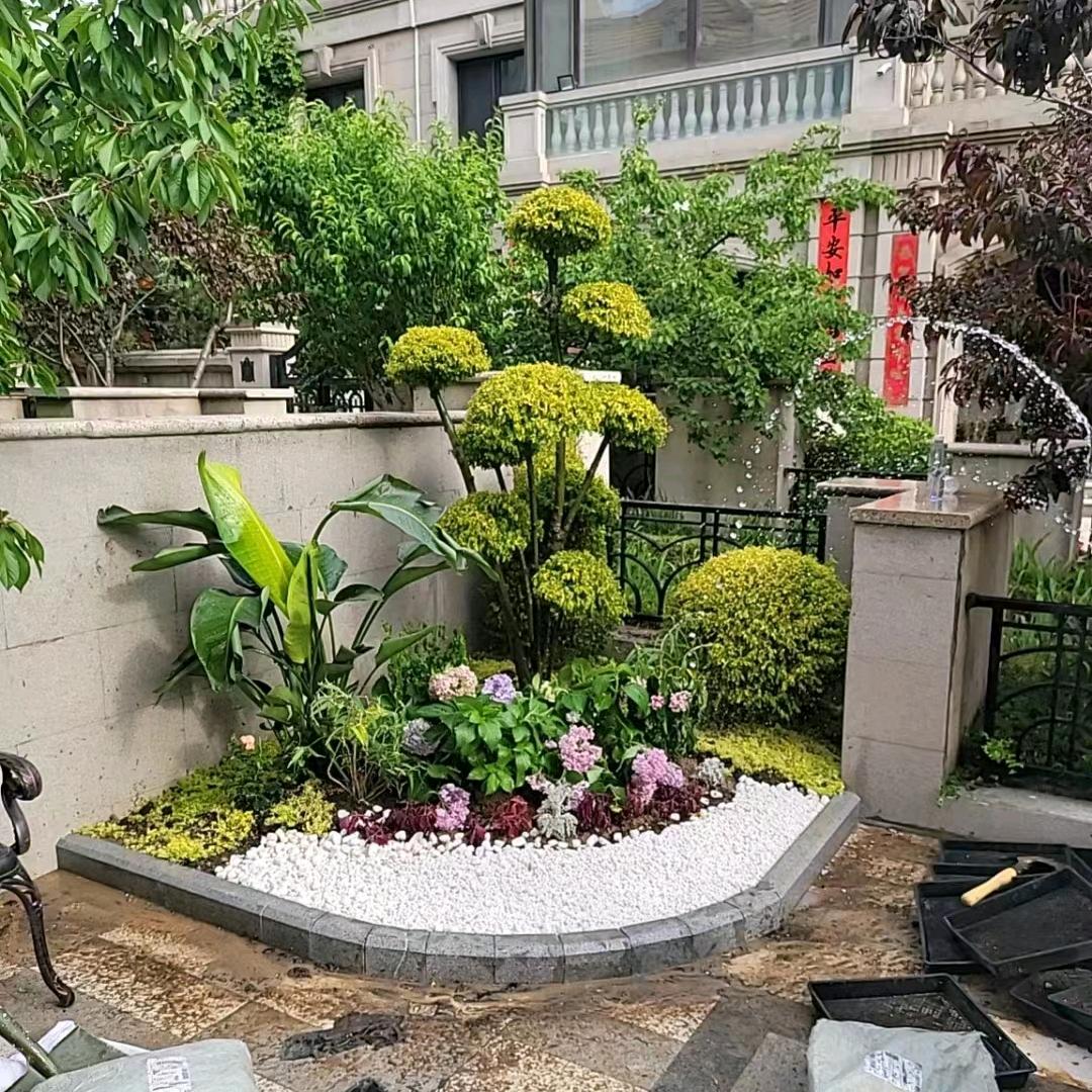 齐景园园林园艺