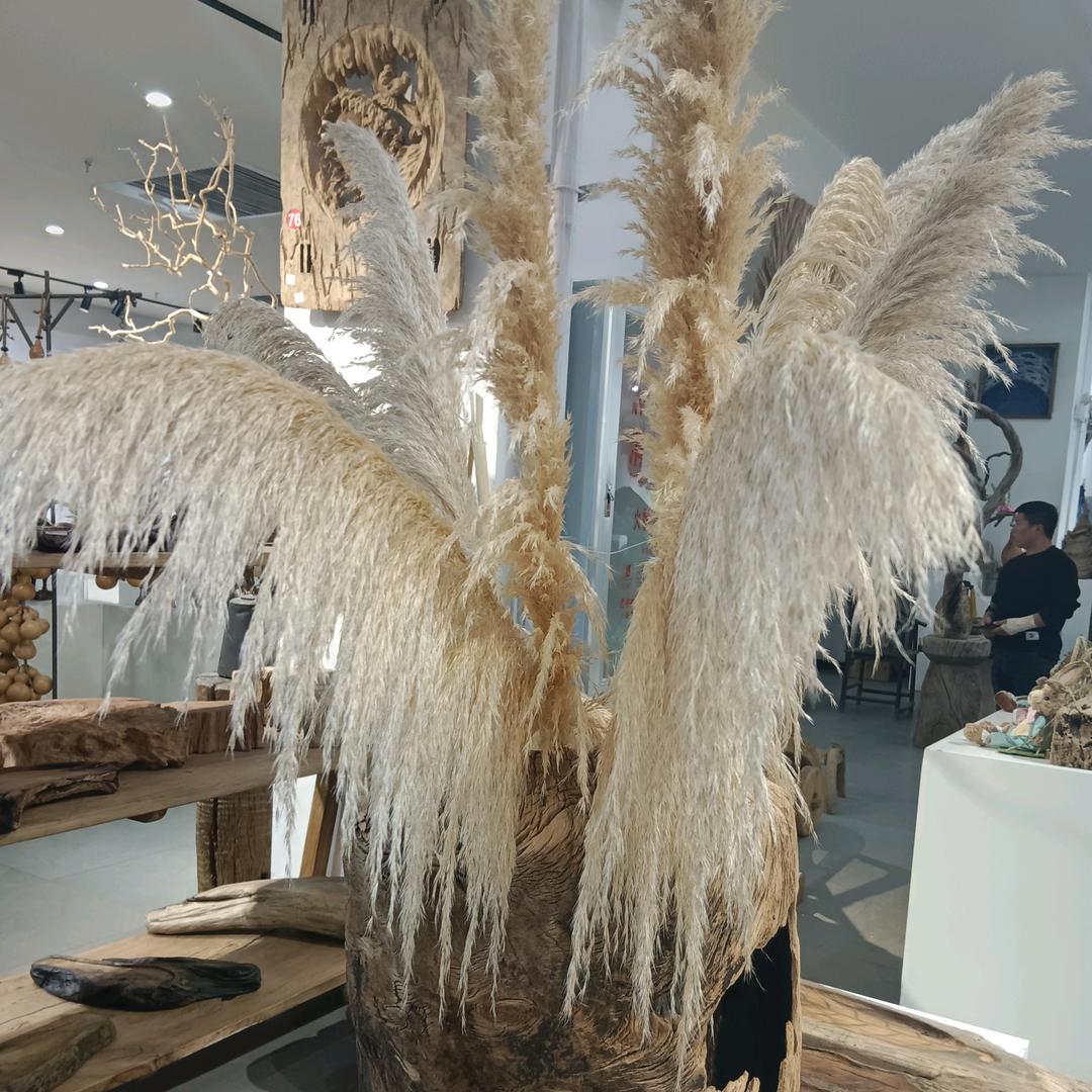 揽月台露营烧烤