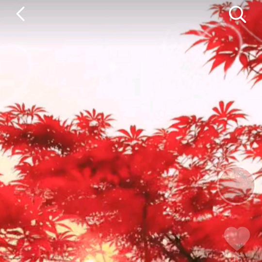 气若幽兰(拒聊)