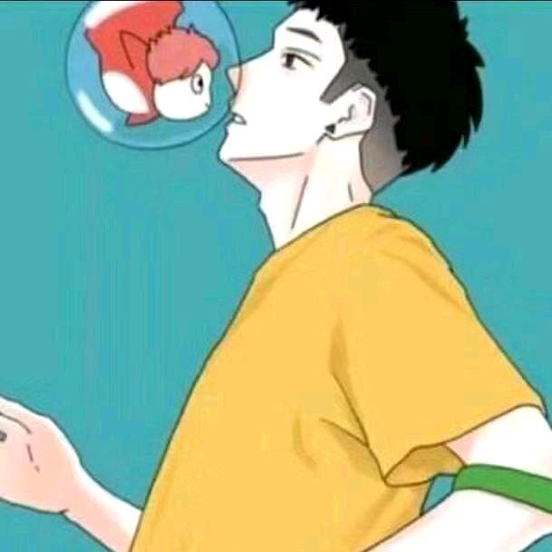 卷毛喜欢波妞的金鱼铺
