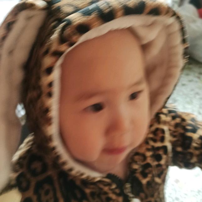 李   尚往来
