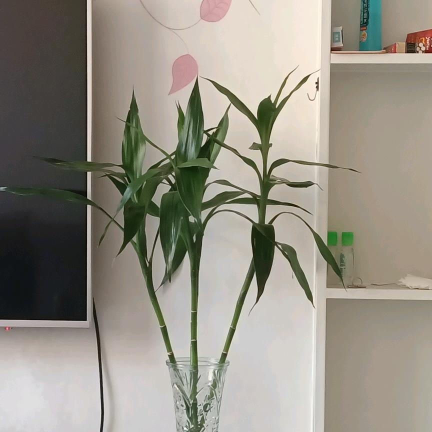 马长海