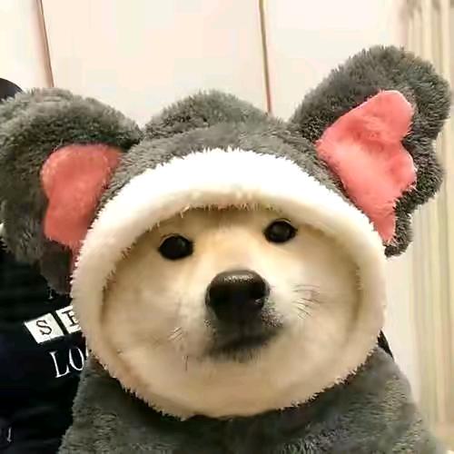 𝑳𝒖𝒄𝒌𝒚🌈麦小周