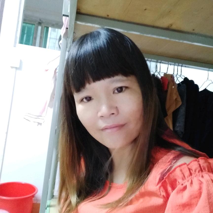 柒柒