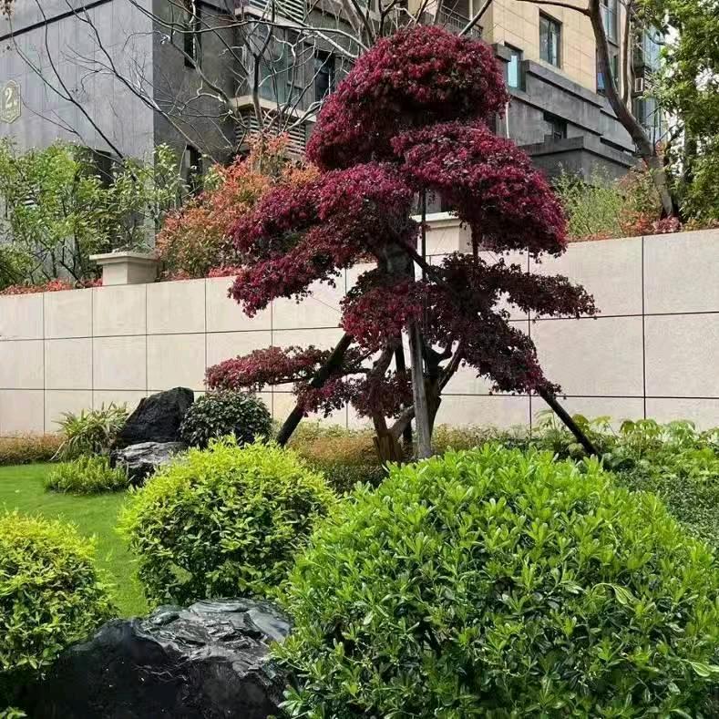 苗木绿化采购