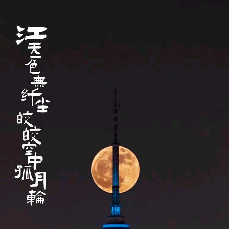 一条咸鱼