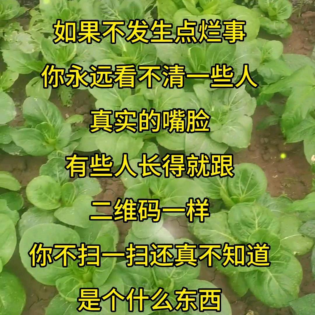 周红超@