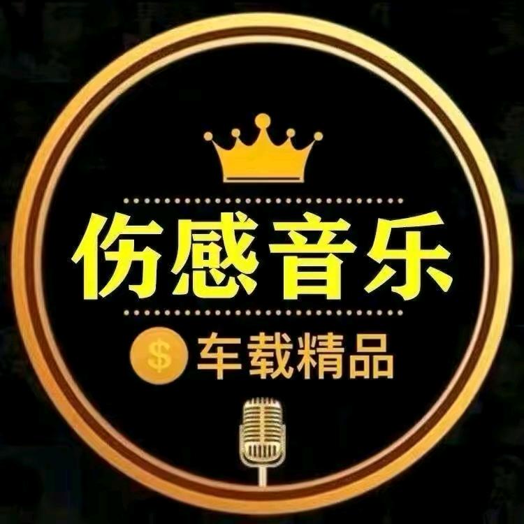 《车载U盘》同是天涯伤感人