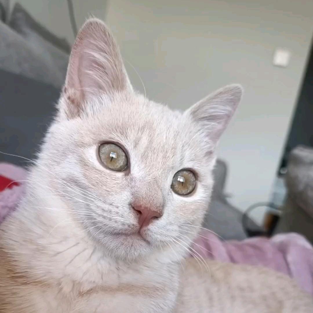 我与你美好的相遇